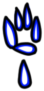 Image of the occurrence